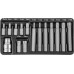 S29H4215S JONNESWAY Набор вставок-бит 10 мм  TORX® (30 и 75 мм), Т20-Т55, 15 предметов